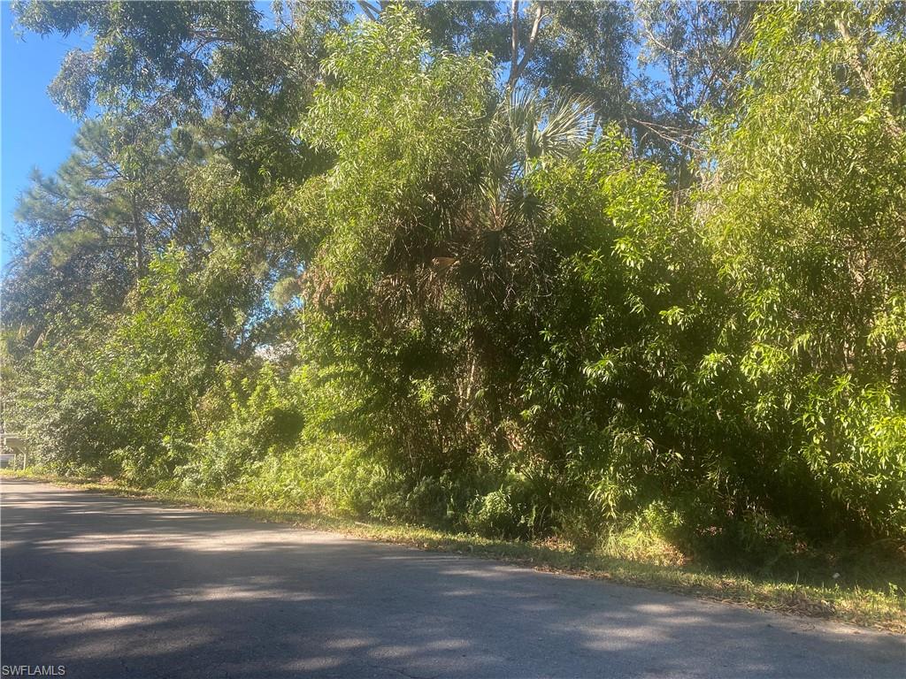 PINE ISLAND CENTER - Commercial Sale