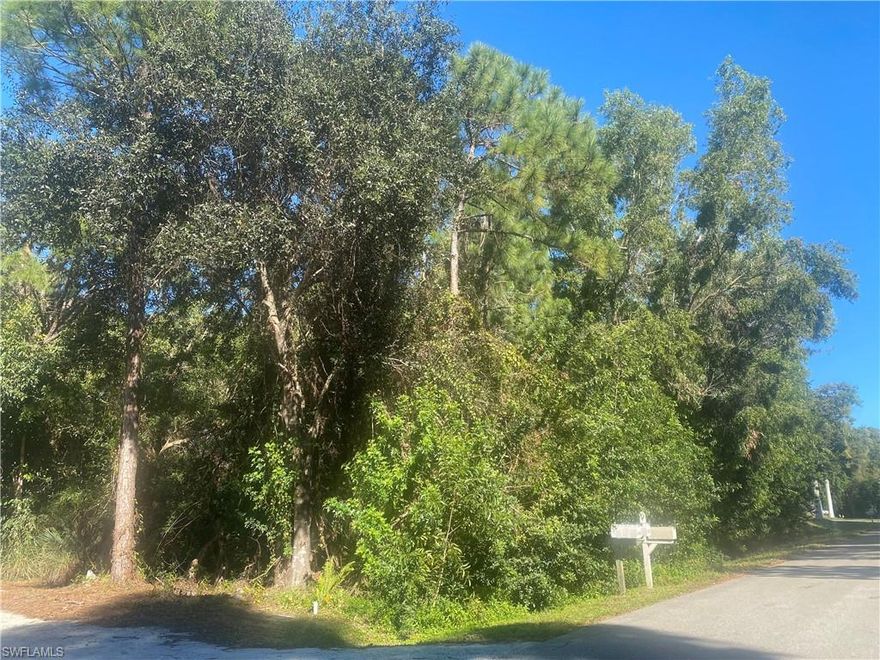 The property is zoned TFC-2, which allows for a single family home or a duplex. Located in the growing Pine Island area with a brand new Publix right down the road. This quiet area near everything Pine Island has to offer including schools, beaches, restaurants and more! You can enjoy the beautiful sunset views, trails, kayaking, or fishing.