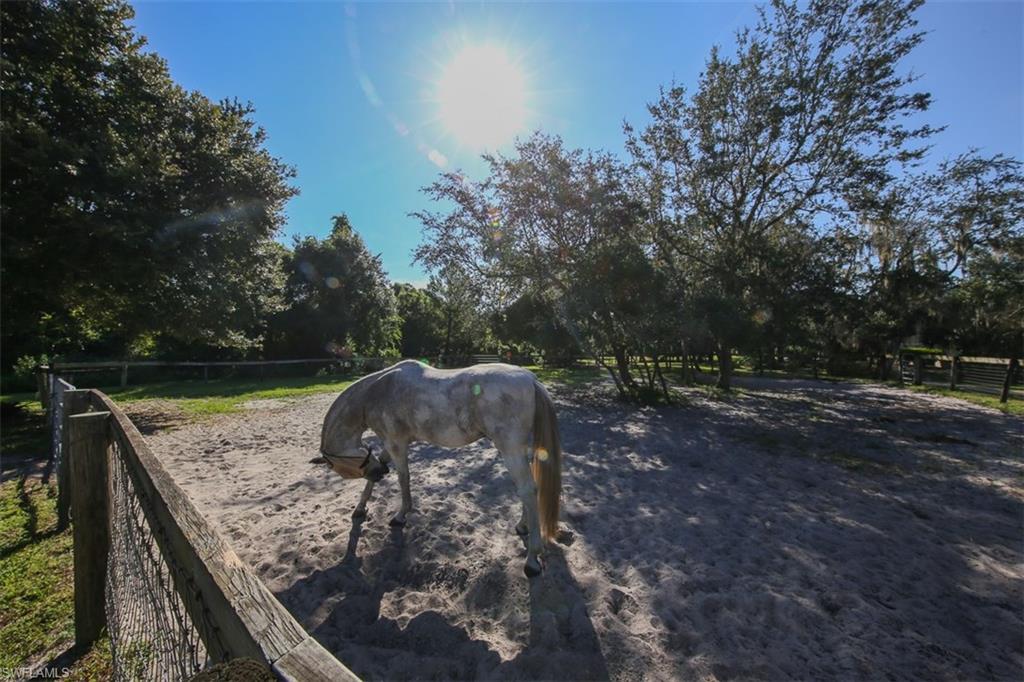 PUNTA GORDA - Residential