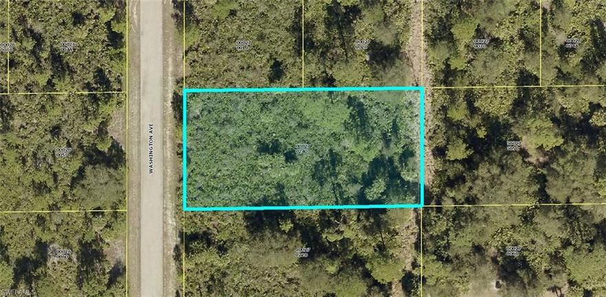Easy access to I-75, Fort Myers and shopping.  This 1/2 acre lot (approx 104' x 209') could be perfect for your dream home or for investment. It's in an area of nice homes.  Check it out!