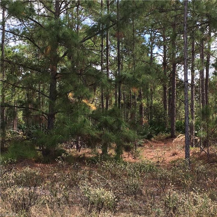 3 LOT PACKAGE A.  All 100% UPLAND per environmental surveys.  All Flood Zone X and X500 - you will not need flood insurance - VERIFY with Collier County and applicable companies.  This beautiful lot has sparse pine trees for a gorgeous view and is next to a FENSED CANAL front home on 8.06 acres.  Sold with 47th Ave NE PID 39658680005 2.27 ac and 22nd St NE PID 39661440009 2.73 ac.  $180K COMBINED sale only.  Other all 100% upland per report vacant lot package deals available in NA46 and NA47 by the same owner:  PACKAGE A: 22ND ST NE PID 39661440009 2.73 AC, 47TH AVE NE PID 39658680005 2.27 AC, 16TH ST NE PID 39651680002 2.27 AC - $180K.  PACKAGE B: 10TH AVE NE 40525240004 2.73 AC & 6TH AVE NE PID 40691160005 2.5 AC - $110K.  PACKAGE C: 62ND AVE NE PID 38786440008 2.27 AC & 40TH ST NE PID 38900600006 1.14 AC - $62K.List price offered until April.*****PENDING STATUS NOTE - THIS 16TH ST NE LOT IS UNDER CONTRACT AS A SINGLE LOT*****