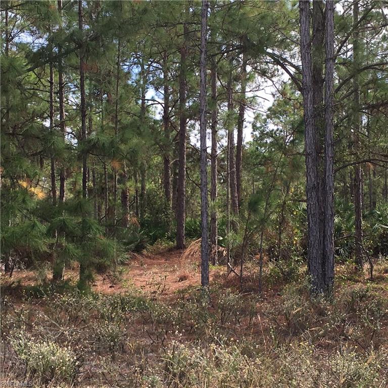 GOLDEN GATE ESTATES - Land