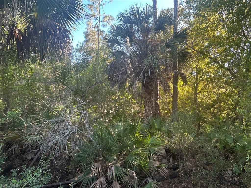 NORTH FORT MYERS - Land