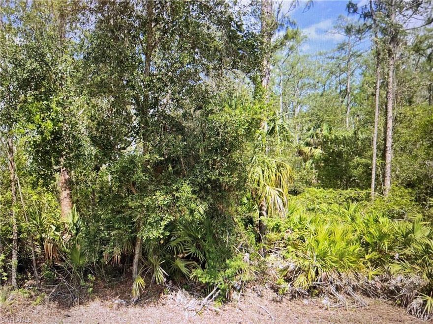 Build your dream home on this half acre lot filled with mature trees. This property is located in the fast growing area of Alva, a quiet neighborhood nestled in the country. With quick access to State road 82 and  I-75, this convenient location has an easy commute to shopping & restaurants. Minutes to the Alva Diner & Leo's French Toast House.
You can also jump on 75 & get to Hertz Arena, Gulf Coast Town Center & much more rather quickly. This is a fantastic investment opportunity & the seller has multiple lots available.