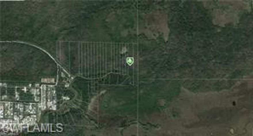 canal front vacant lot, boating, permitted hunting, fishing, no hoa, tax deed sale by a quit claim deed only, as-is, no ground access, across adjacent lots are for sale too, google co-ordinate is approx location 25.848097,-83.359784