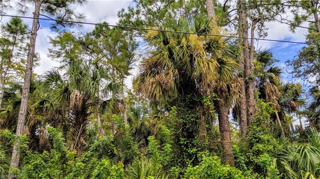 GOLDEN GATE ESTATES - Land