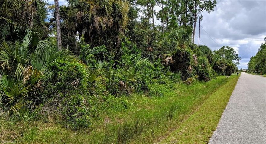 .81 Acre UPLANDS! Here's your opportunity to secure an over-sized lot in a great location of this rapidly growing area of Naples. This is one of the top Investment Properties on the market! With 2.73 Acres in a prime Golden Gate Estates location, 5 minutes to the new Publix plaza, near the communities of Waterways, Orange Tree and Valencia Lakes, near Valencia Golf and Country Club, don't miss out! Consisting of partial uplands and close proximity to conveniences, this is your legacy waiting!