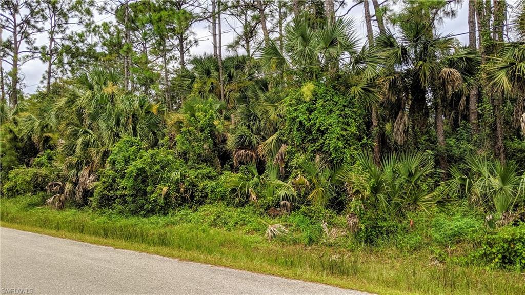 GOLDEN GATE ESTATES - Land