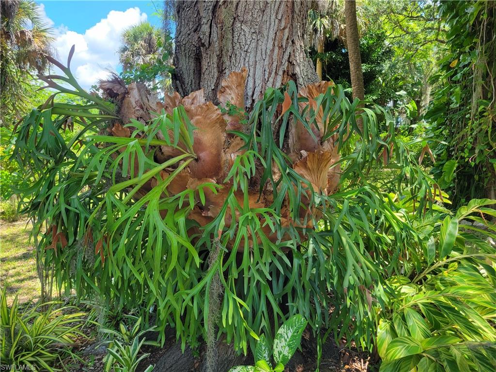 YACHT CLUB COLONY - Residential