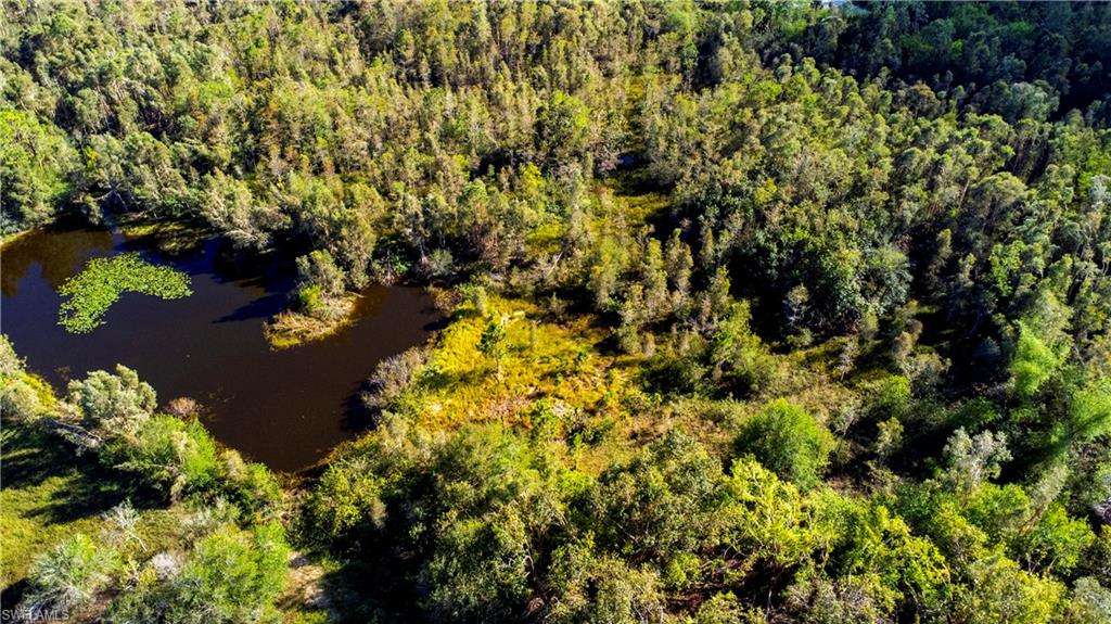 TIMBER TRAILS - Land