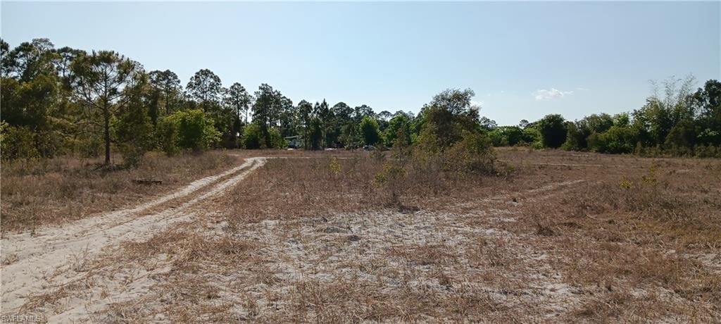 TIMBER TRAILS - Land