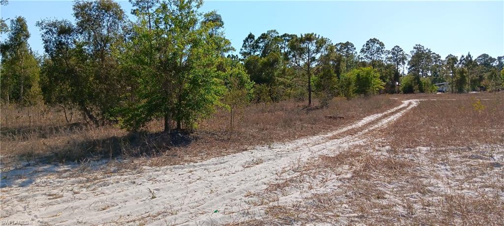 TIMBER TRAILS - Land