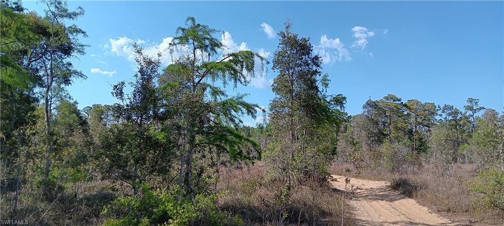 TIMBER TRAILS - Land