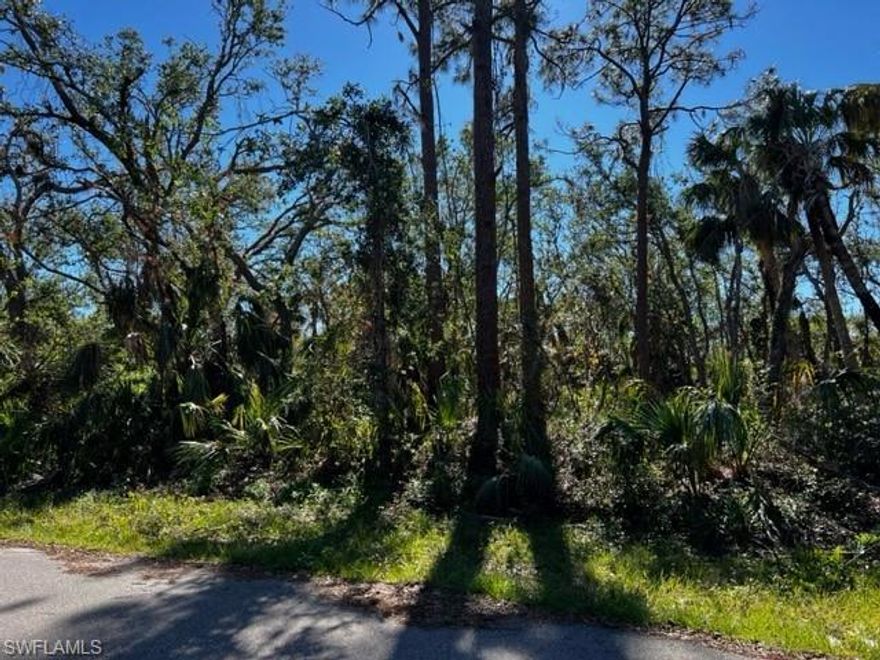 Beautiful lot for your dream home. This is a quiet area conveniently located near all the amenities that Port Charlotte offer such as restaurants, shopping, school and banks. This is a rapidly growing community. No flood zone.