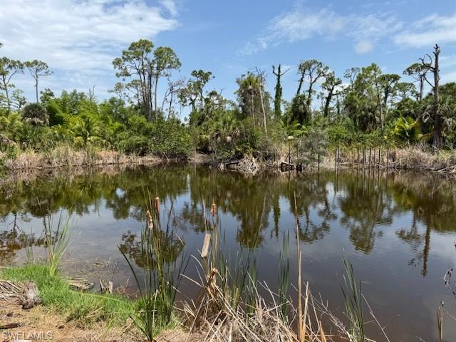 PINE ISLAND RIDGE - Land