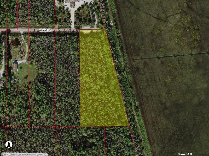 Listing image 6