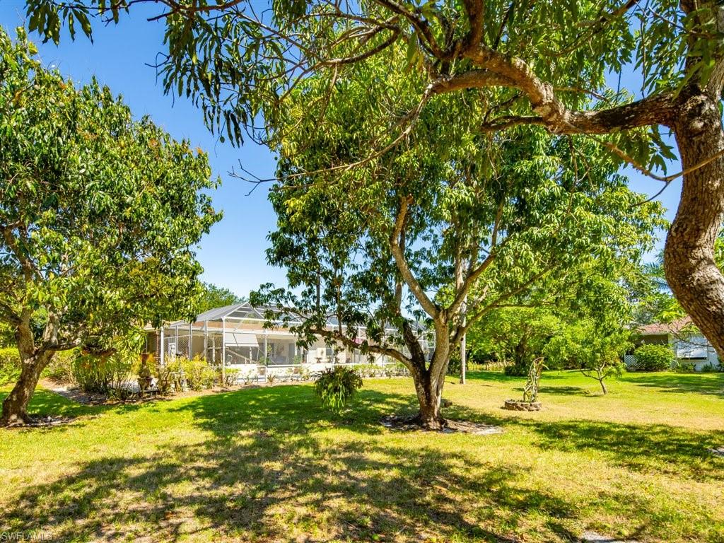 PINE RIDGE - Residential