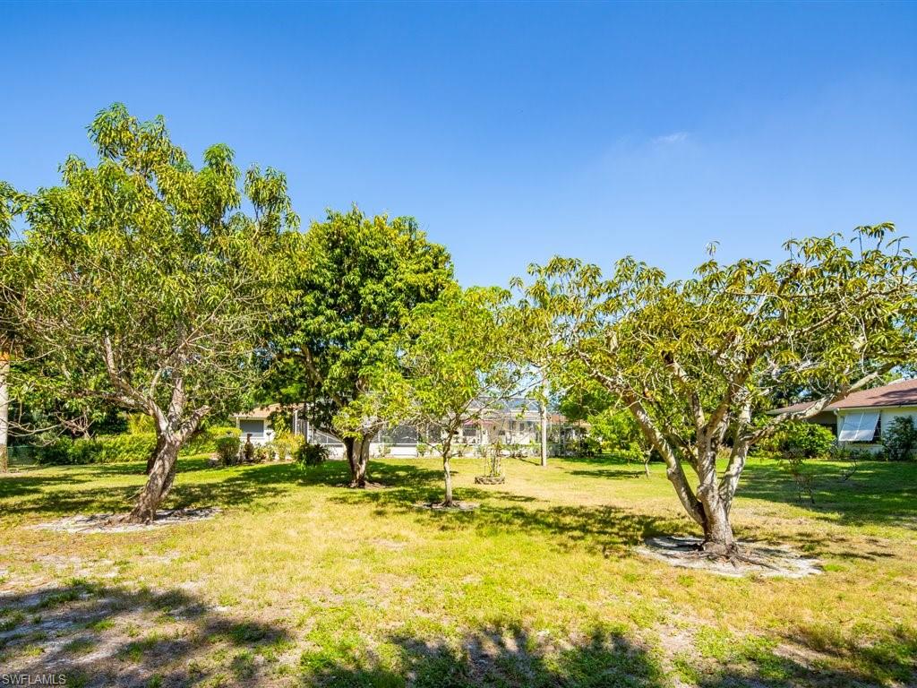 PINE RIDGE - Residential