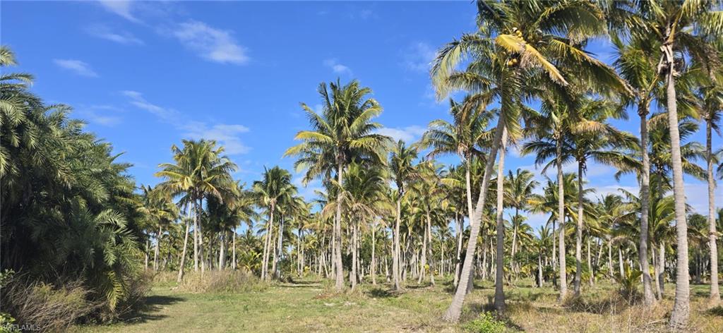 KREAMERS SUBD - Land