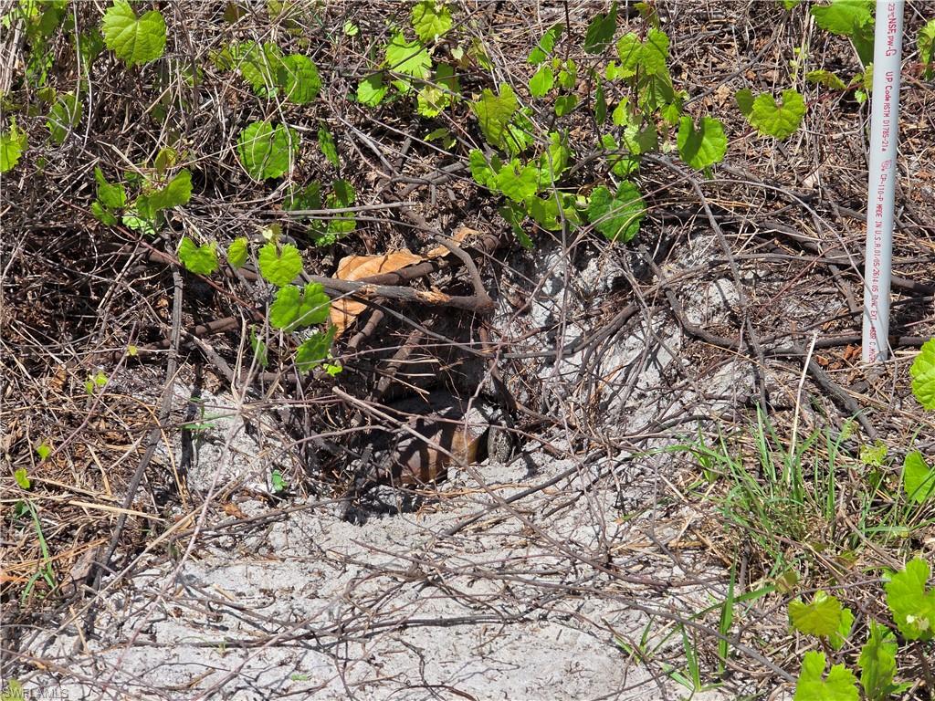 PORT CHARLOTTE - Land