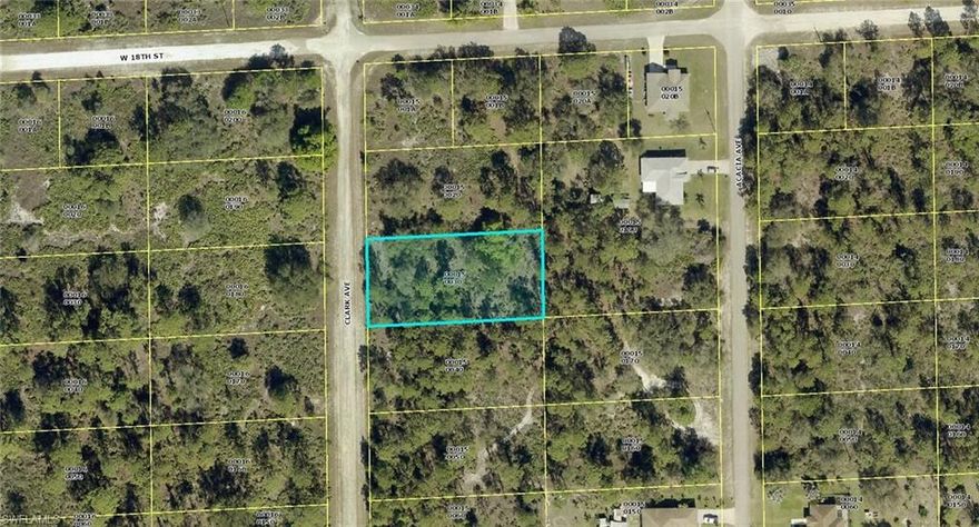 Incredible 1/2 acre close to Joel Boulevard which puts you close to everything in Lehigh Acres, Alva and Labelle. A quick drive to downtown Fort Myers as well for their weekly activities.