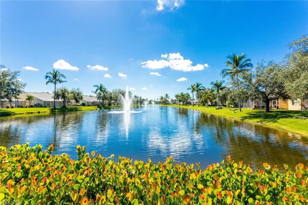 IBIS COVE - Residential