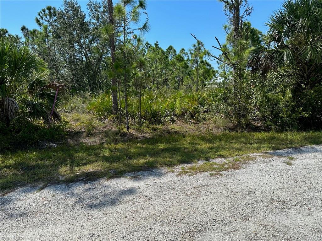 TROPICAL GULF ACRES - Land