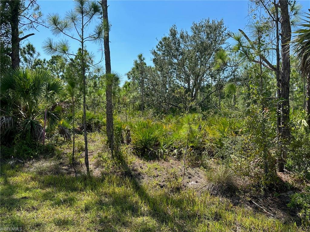 TROPICAL GULF ACRES - Land