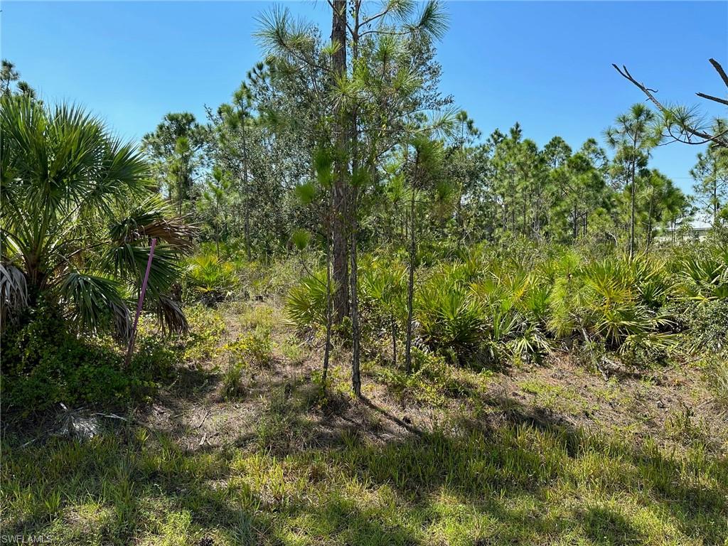 TROPICAL GULF ACRES - Land