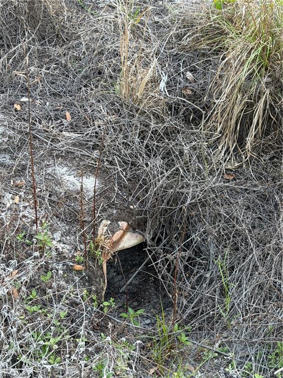 MONTURA RANCH ESTATES - Land