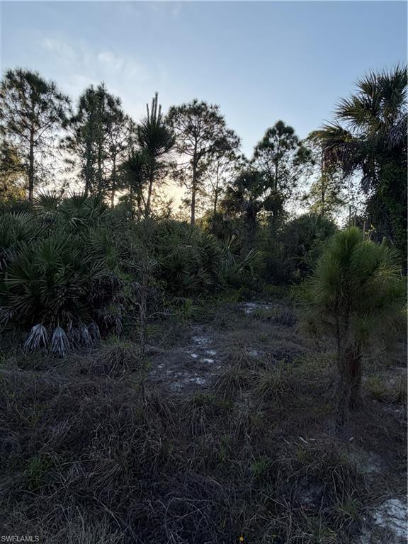 MONTURA RANCH ESTATES - Land