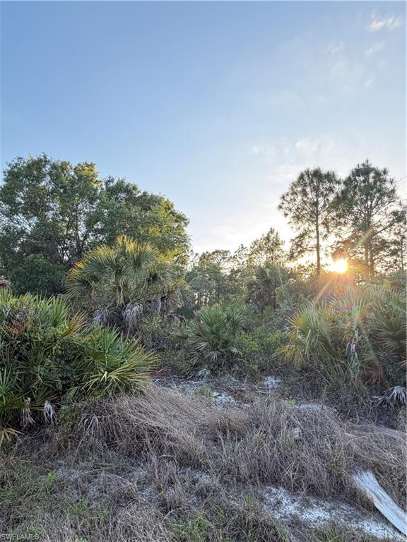 MONTURA RANCH ESTATES - Land