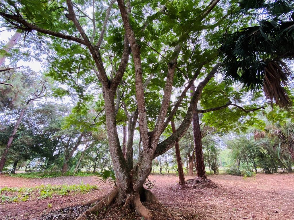 ACREAGE HEADER - Residential