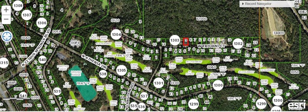 CITRUS SPRINGS - Land