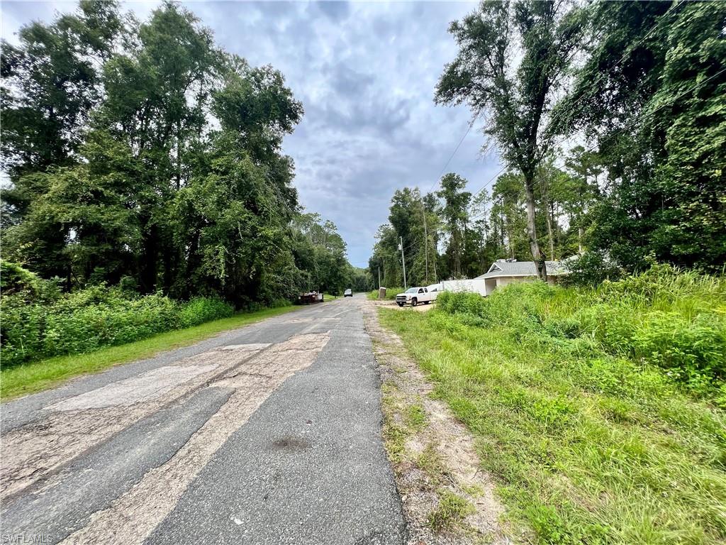 CITRUS SPRINGS - Land