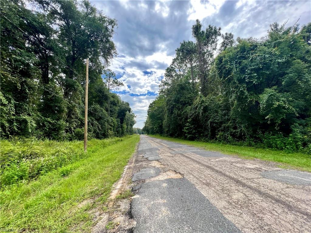 CITRUS SPRINGS - Land