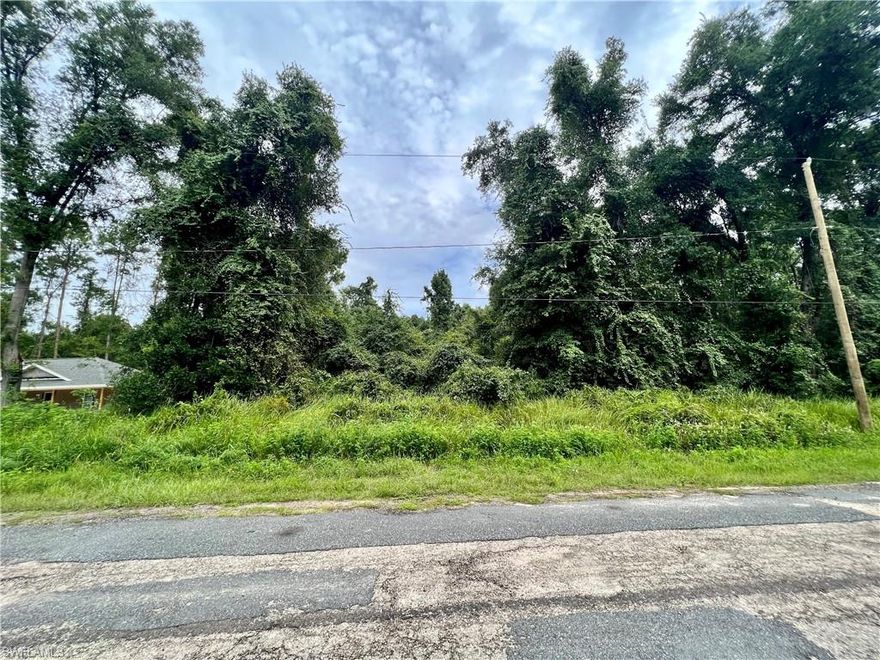 This lot offers a fantastic opportunity to build your dream home or invest in a growing community. Citrus Spring is known for its beautiful scenery, friendly community, and proximity to the best that southwest Florida, Do not miss out on this chance to secure a prime piece of real estate!