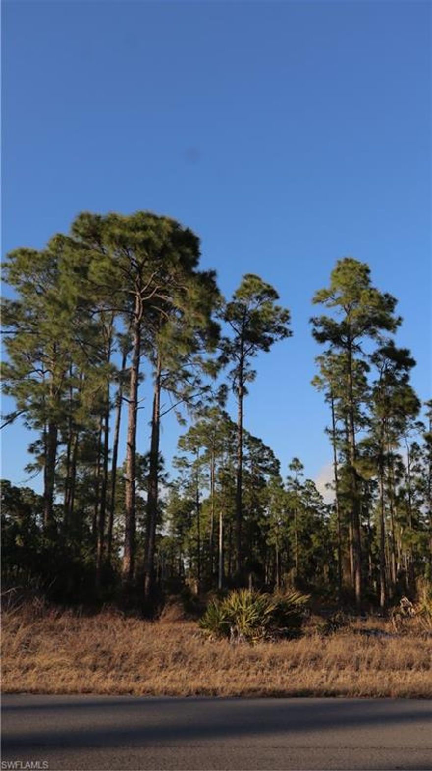 Located in Lehigh Acres, FL - a growing suburban community with more space and affordability compared to coastal areas. Easy access to nature, parks, and recreation: lots of trails, community parks, and even nearby golf courses. Roughly 30 miles drive to nearby beaches and only 20 miles from the airport. Good balance between quiet suburban living and reasonable proximity to city amenities.