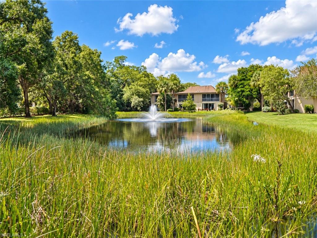 1990 Bald Eagle DR A