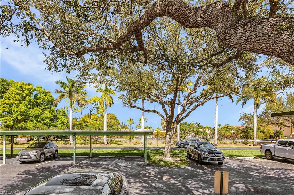 VENETIAN PALMS - Residential