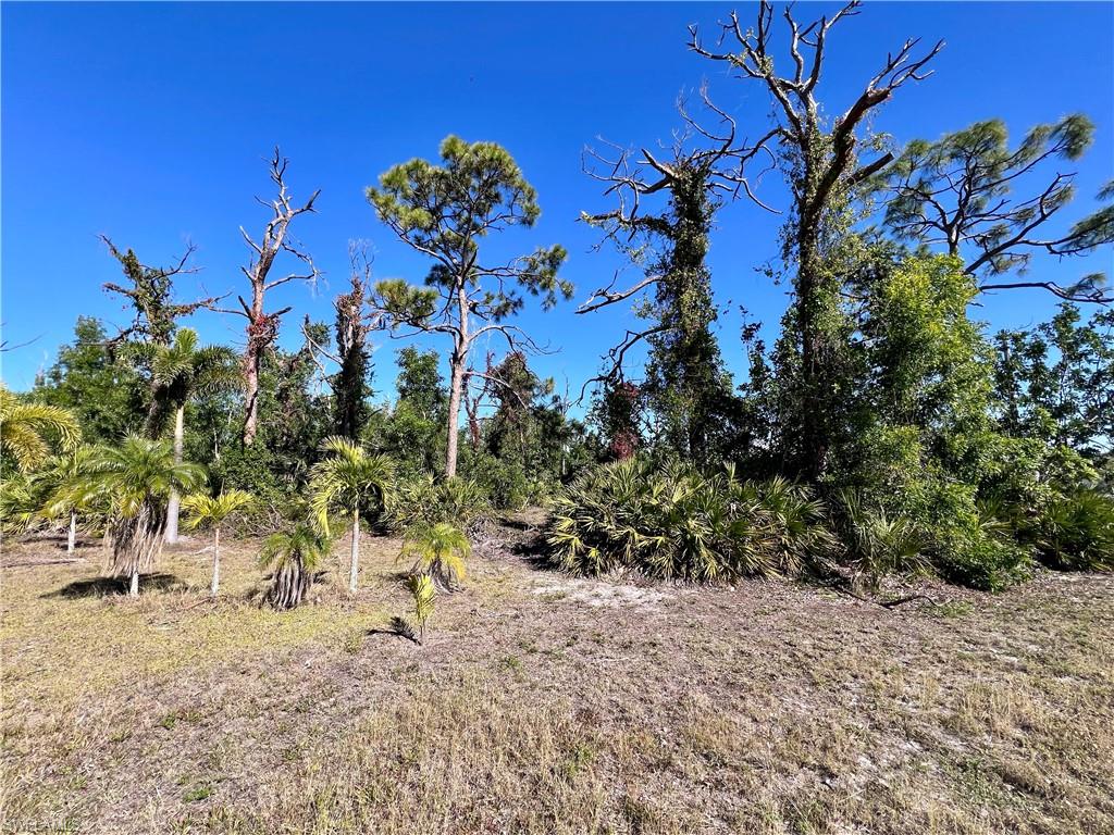 MANATEE BAY UNRECORDED SUBDIVISION - Land