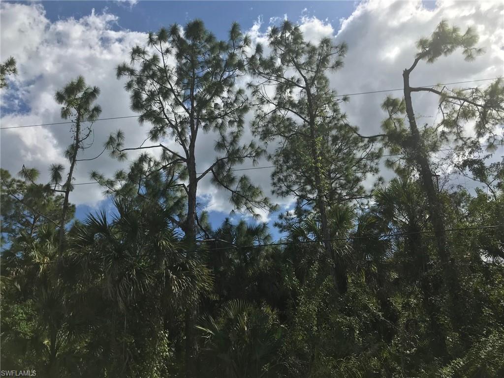 GOLDEN GATE ESTATES - Land