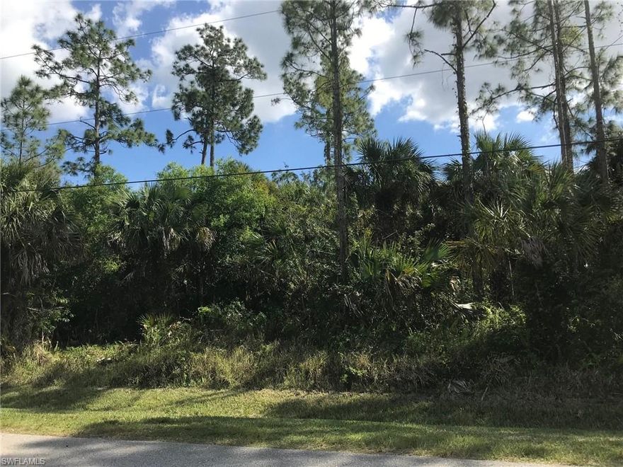 94% Uplands per the 2021 TEC Wetland Determination attached. Enjoy the peaceful, country lifestyle of Golden Gate Estates, just minutes from the splendor and beautiful beaches of Naples, Florida. Build the home of your dreams on this wonderful 5 acre lot, or subdivide into 2 buildable lots. Plenty of room for a guest house or stables. Zoning allows 2 horses per acre. Beautiful property with lots of nice pines. TEC Wetland Determination attached shows only a few very small wetland patches which are easily avoidable.