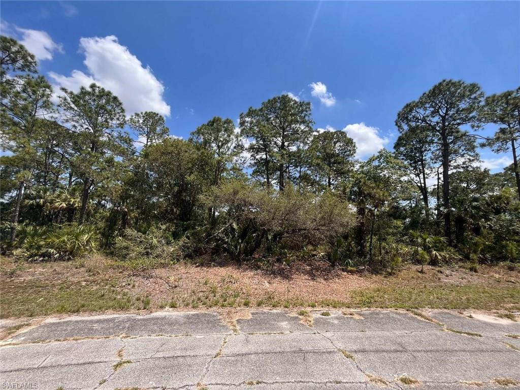 BANYAN VILLAGE - Land