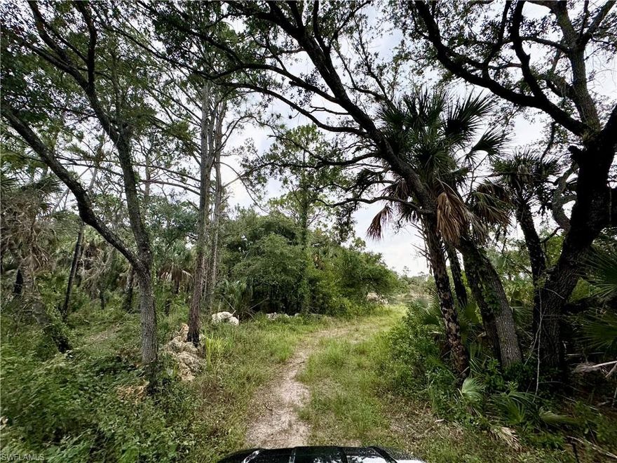 Discover a rare opportunity to own over half an acre on a quiet road backing up to county owned preserve. With ample space to design and build, this lot is ideal for those seeking privacy without being too far from up and coming development. Partially cleared, this lot offers the convenience of an easy start to your new home build.