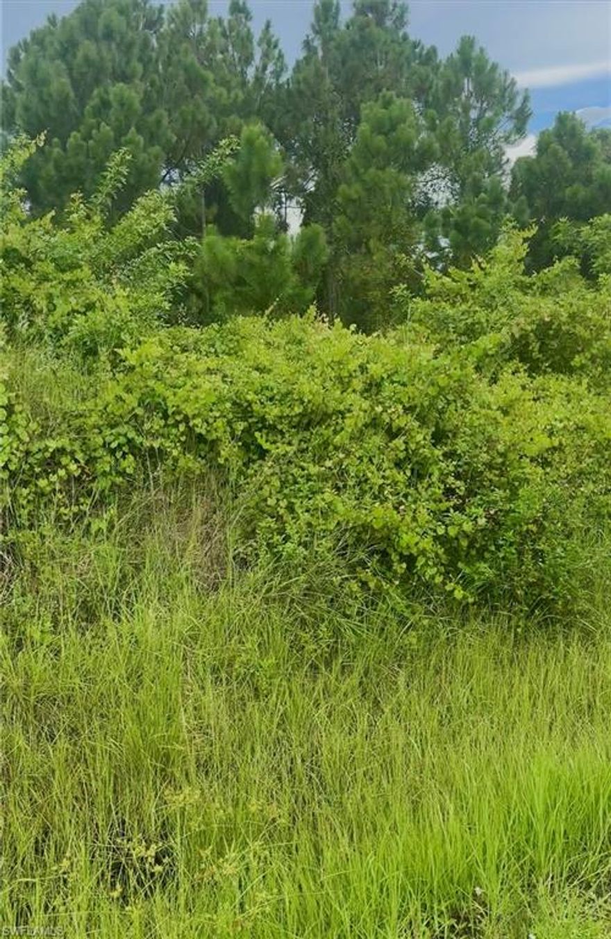 Great location for your new home!  Low Traffic Street with Eastern Exposure backyard!  Ten minute drive to Publix, restaurants & entertainment.  Sign on Property!  Take a peek and make an offer!