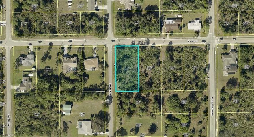 Great 1/2 acre corner lot right off Richmond Avenue. Quick access to Lehigh downtown shopping, schools, parks and churches. No city water or sewer to cost extra each month. You can not beat this lot for your dream home.
