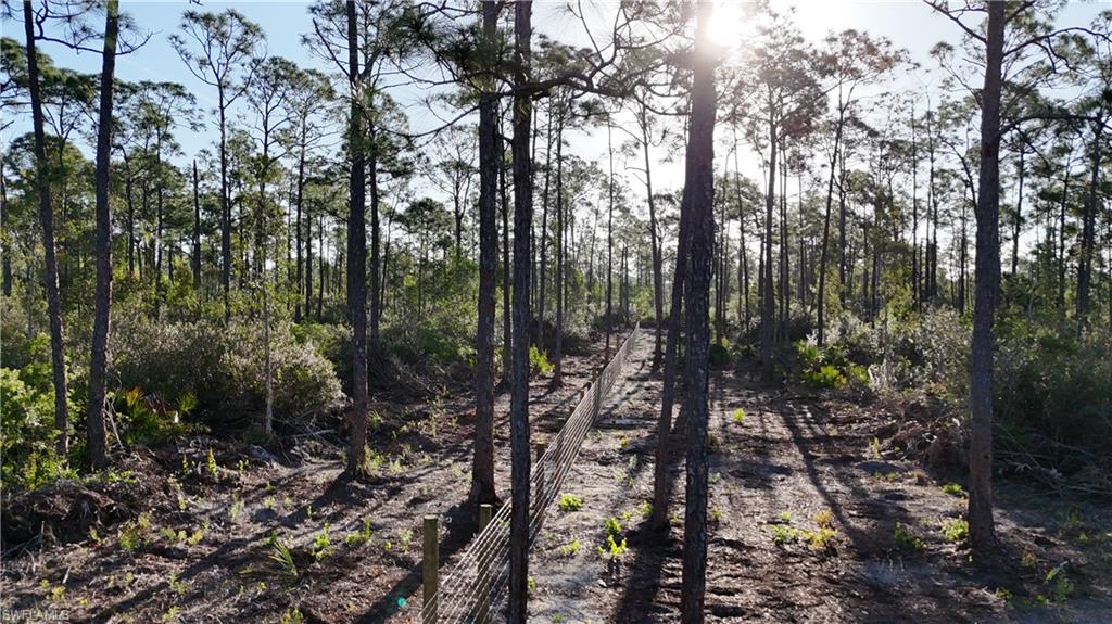 BURNT STORE VILLAGE - Land