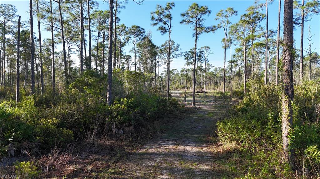 BURNT STORE VILLAGE - Land