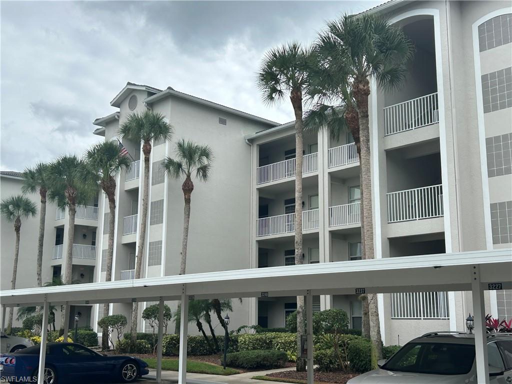 10449 Washingtonia Palm WAY 3235